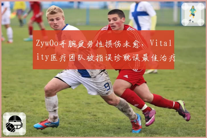 ZywOo手腕疲劳性损伤未愈,Vitality医疗团队被指误诊耽误最佳治疗期