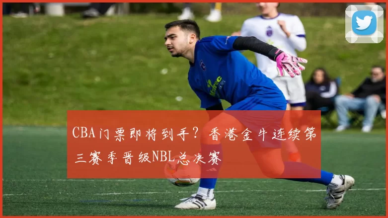CBA门票即将到手？香港金牛连续第三赛季晋级NBL总决赛